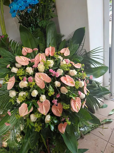 Kwiaciarnia Cyklamen